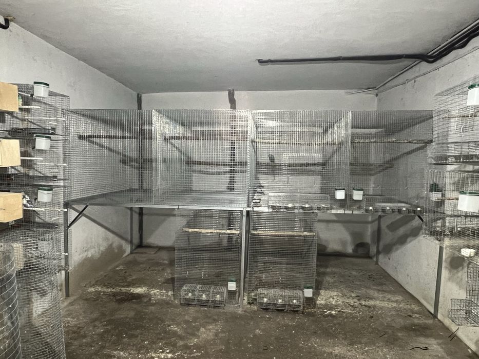 Viveiros para aves por medida