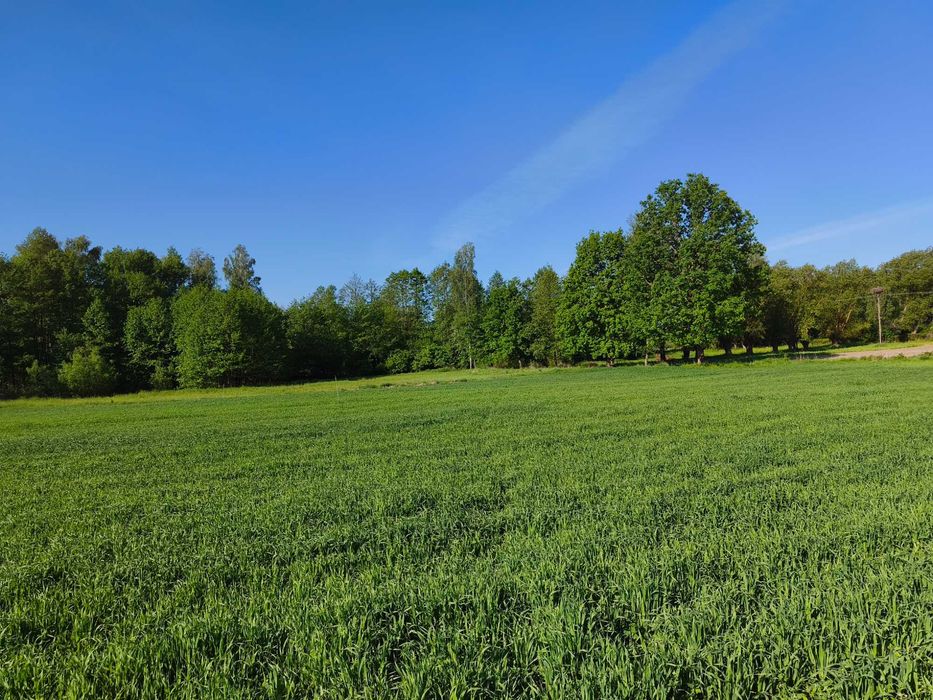 Działki budowlane