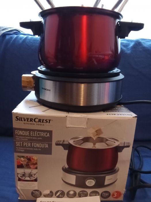 Fundeo eléctrico, novo, nunca foi usado, contêm  espetos