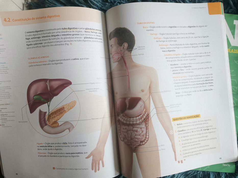 Manual novo Ciências naturais - 100% CN 9° ano