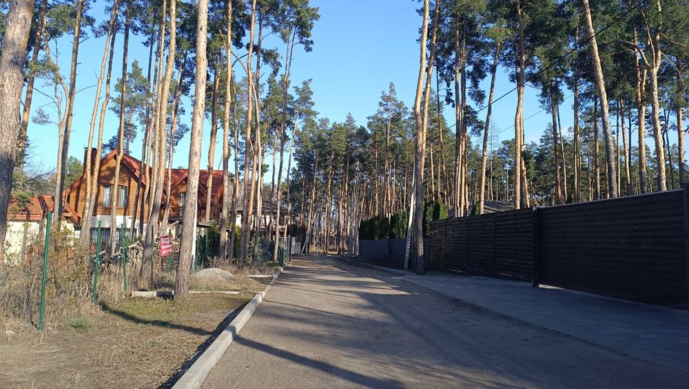 Ділянка серед сосен, 8 соток, нові будинки.