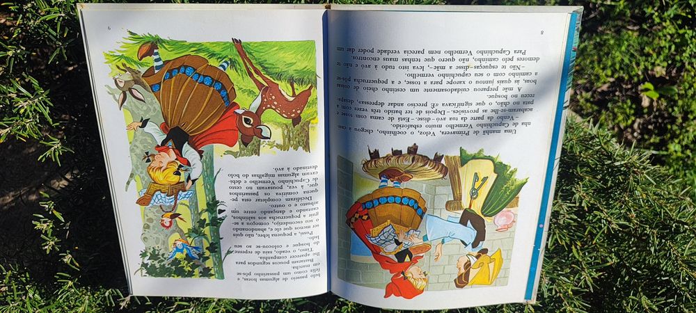 Livro Capuchinho Vermelho