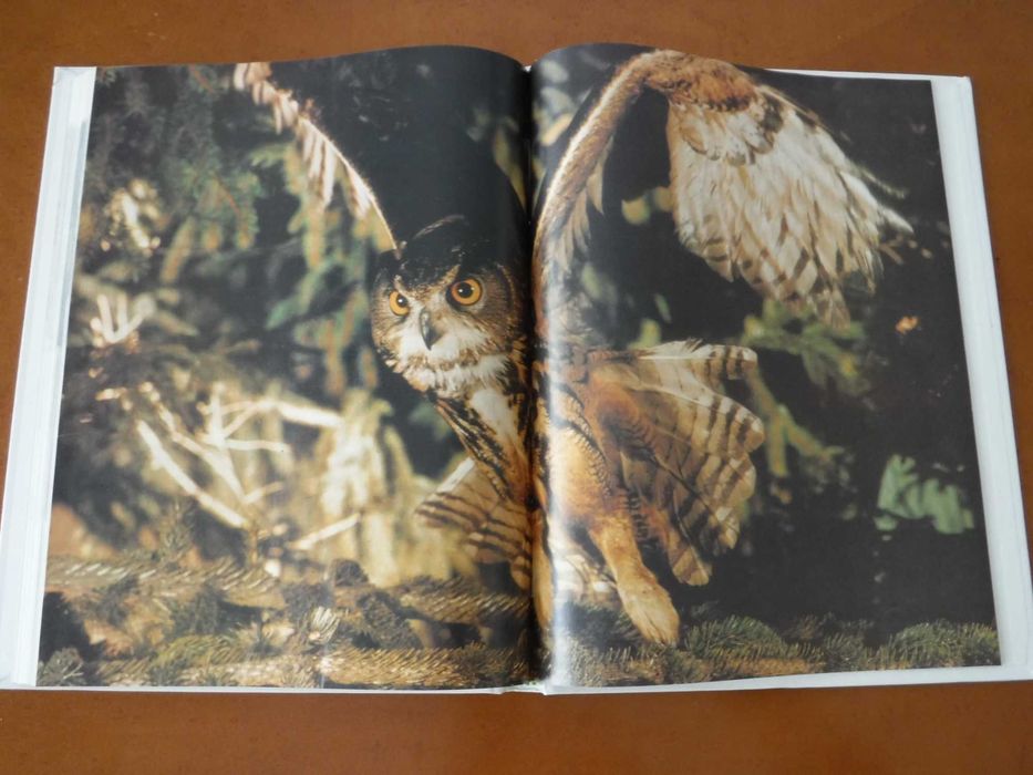 Os Animais - Público e Planeta Agostini