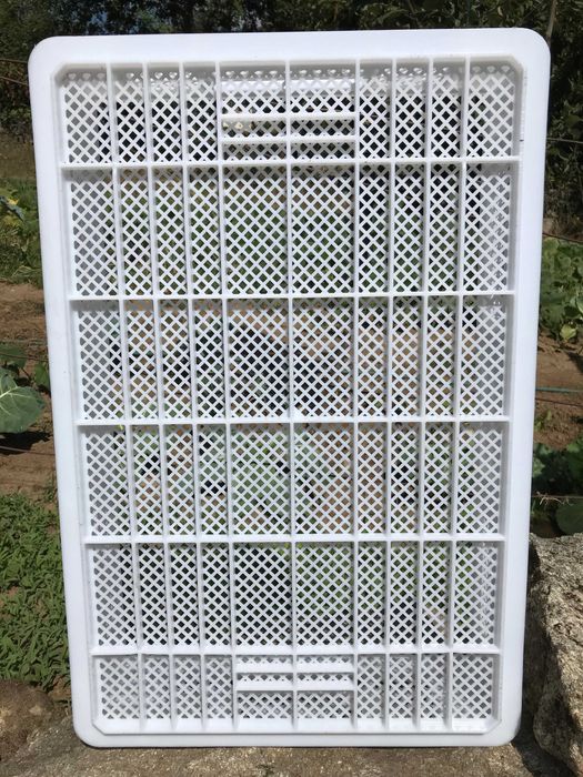 Pastries/Plastic Boxes (Grid-patterned Walls and Bottom – Length 60 cm)64551264771586123