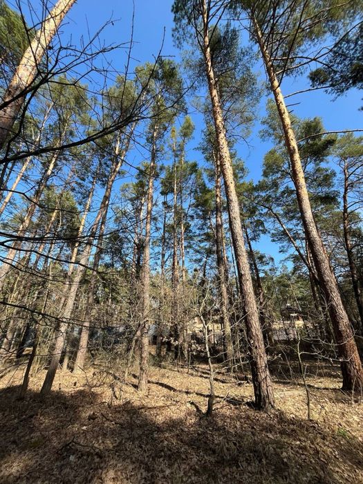 Земельні ділянки від 15 соток до 8 Га Віта Поштова