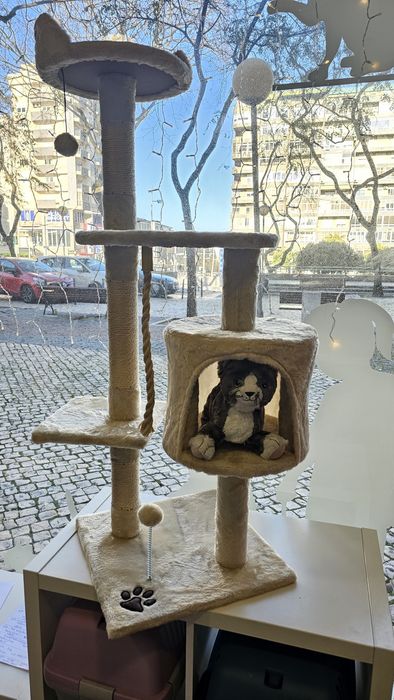 Ginásio para gatos 140cm