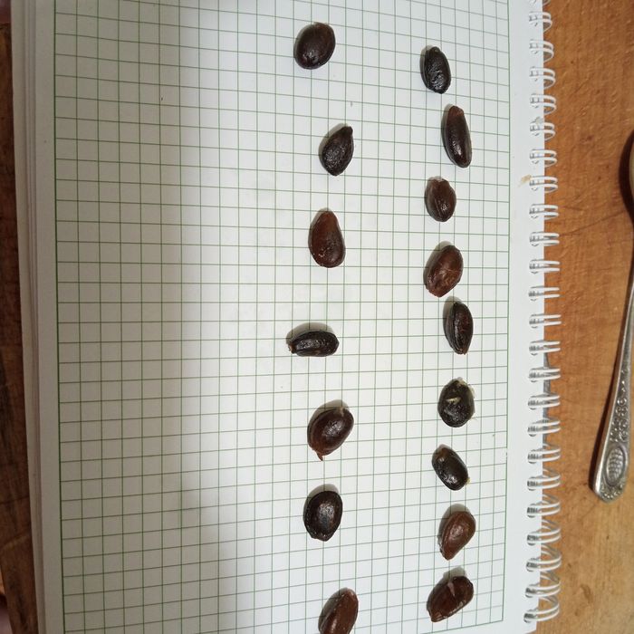 Семена Тенерифе -черримойя