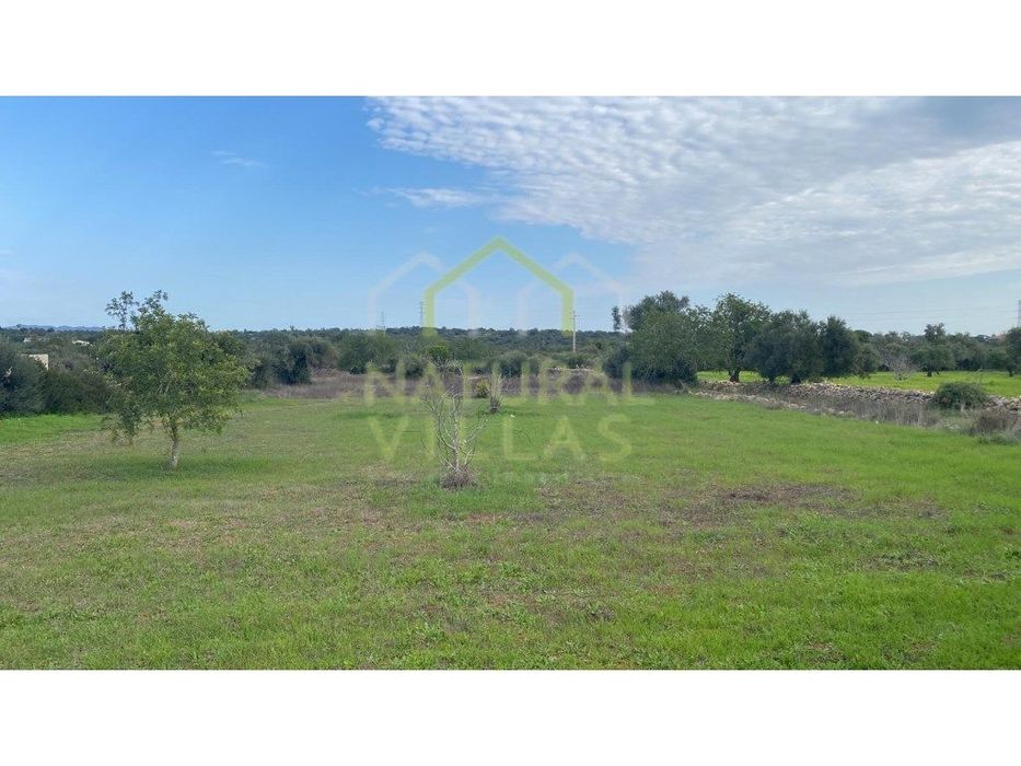 Completely Flat Rustic Land in Peral, Estoi