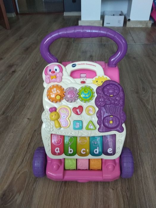 Pchaczyk do chodzenia