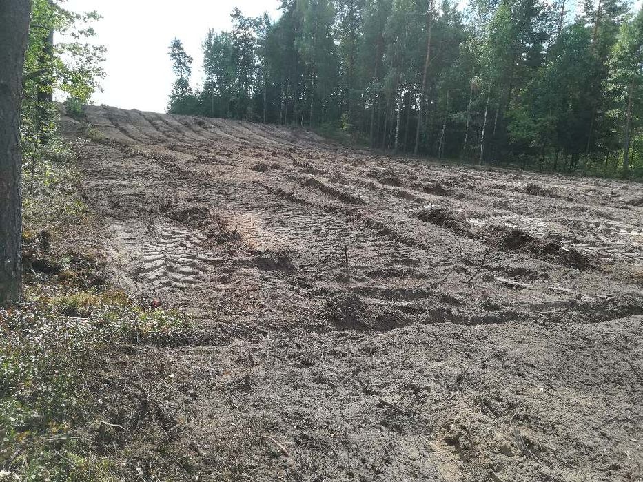 rekultywacja terenu/mulczowanie/mulczer/frez wgłębny wycinka drzew