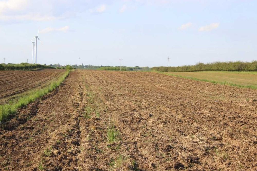 Grunt rolny premium: 2,38 ha (szer. 24,5 m) – Klasa I, płaski teren, wjazd z asfaltu - Widok 4
