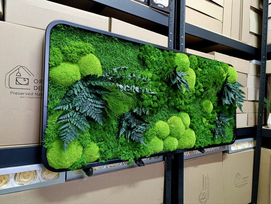 Панно з Моху. Декор з Мохом. Фітокартина зі Стабілізованим Мохом