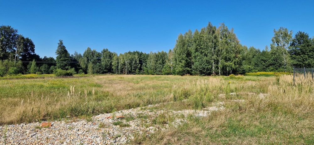 Działka budowlana 18,42 ar Nowa Dęba ul. Borowa