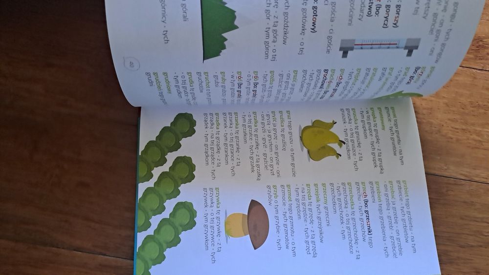 Mój pierwszy słownik ortograficzny