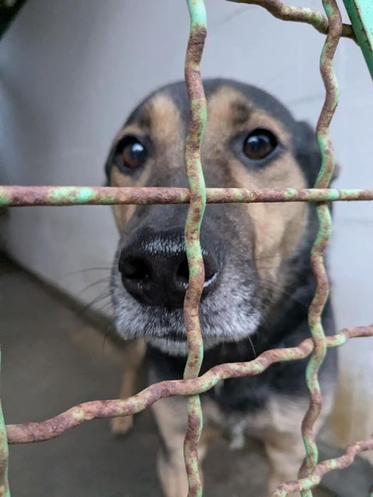 Lemo - Niewidzialny od lat