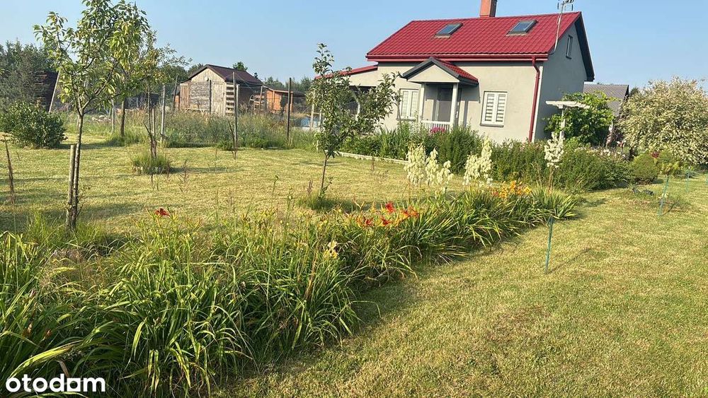 Duża działka ROD 1008 m² + domek całoroczny 70 m² taras drzewa owocowe