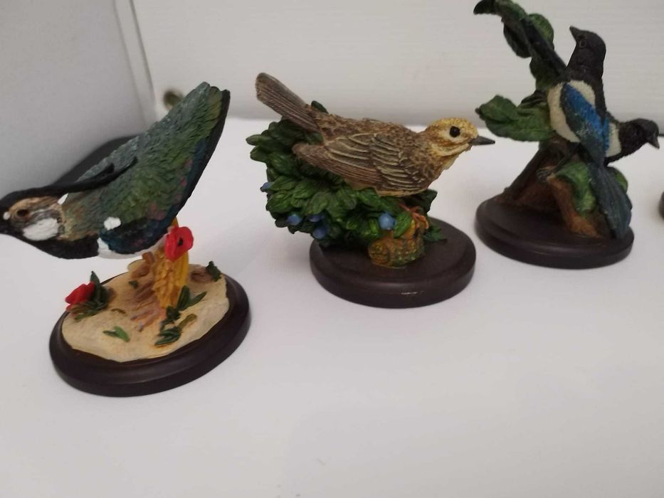 Pássaros -Bird Collection-Fabulosa coleção de 33 peças