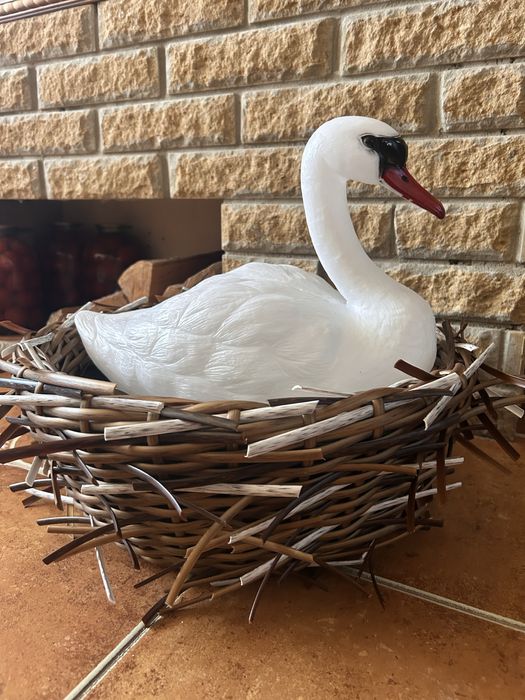 Велике гніздо з лебедем