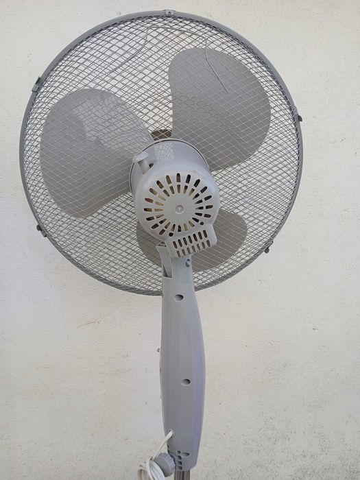 Ventoinha de pé.