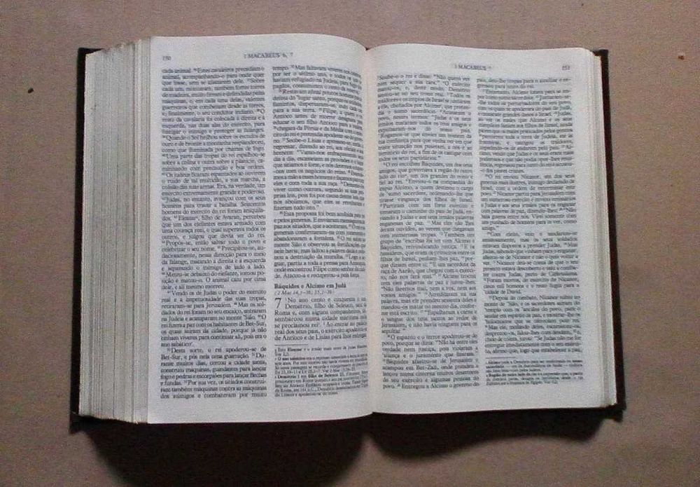 Biblia Sagrada - A Boa Nova