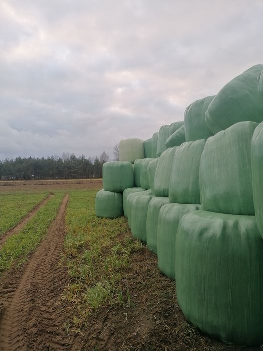 Sprzedam bele sianokiszonki