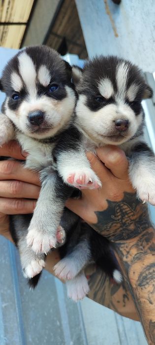 Хлопець та дівчина