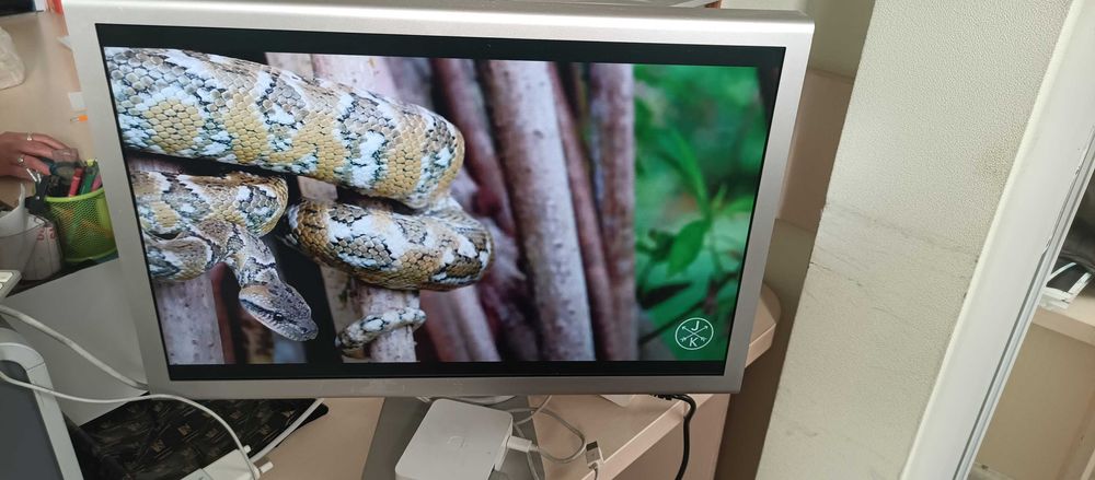 Монитор  A1082 Apple Cinema HD Display 23", ремонт