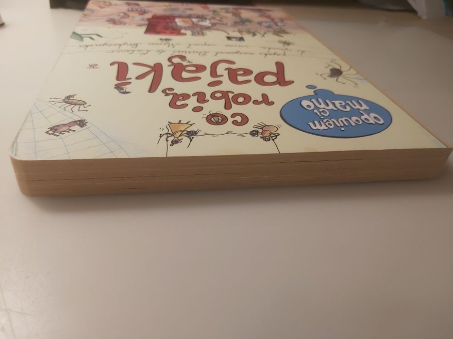 Co robią pająki Nasza Księgarnia książka