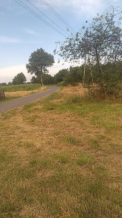 Gospodarstwo rolne 9 ha