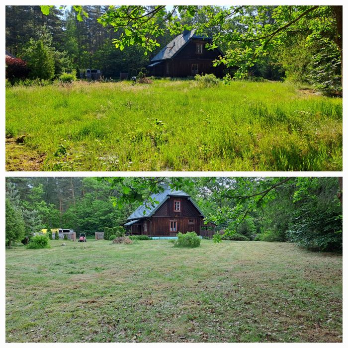Wycinka drzew usługi rębakiem