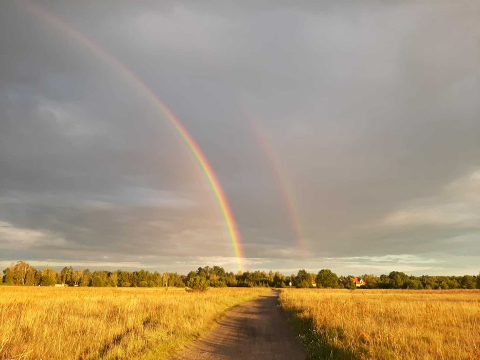 Domek nad rzeką Pilicą. Białobrzegi. Kajaki,rowery,grzyby wędkowanie. 40 min od Wawy.