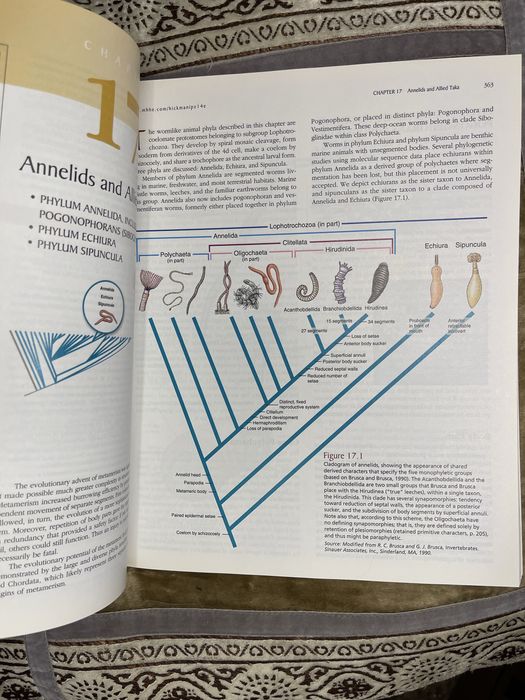 Livro Integrated principles of zoology