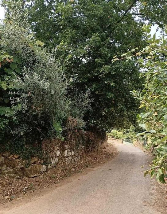 Terreno em Alvarenga-Arouca