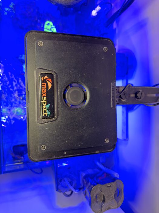 Maxspect Jump Light MJ-L165 Blue lampa oświetlenie LED 65W