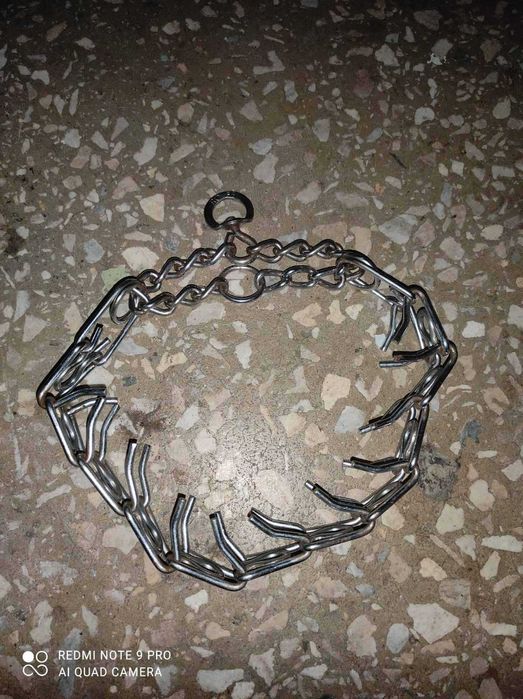 Ошейник для собак строгая