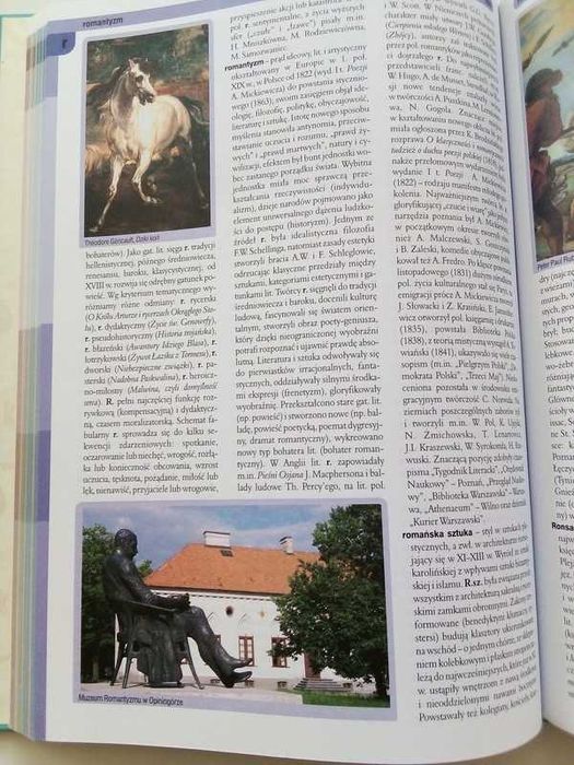 Ilustrowana encyklopedia -Język Polski