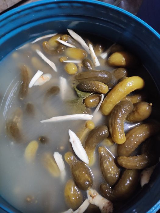 Ogórki kiszone sprzedam