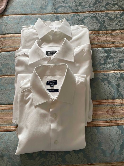 Conjunto 3 camisas homem algodão - Carlos Trindade, Marto e Mr Blue