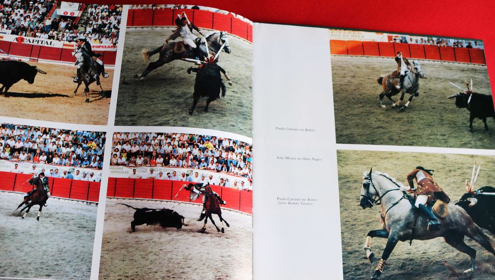 Arte Equestre: Cavalo Lusitano - O Filho do Vento, livro 1993