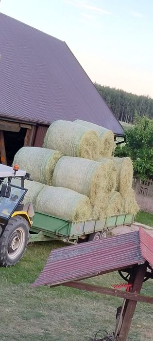 Siano baloty 120/120 Z siewnych łąk każda ilość, transport
