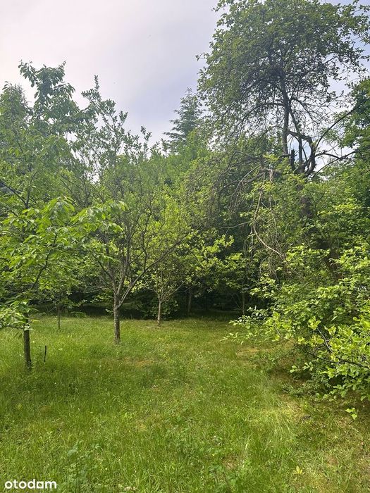 Działka budowlana przy ulicy Kieleckiej w Radomiu - Więcej