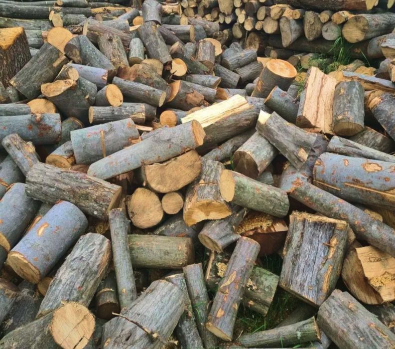 Дрова твердої породи Бук. Робимо доставку КАМАЗ 10 складометрів.