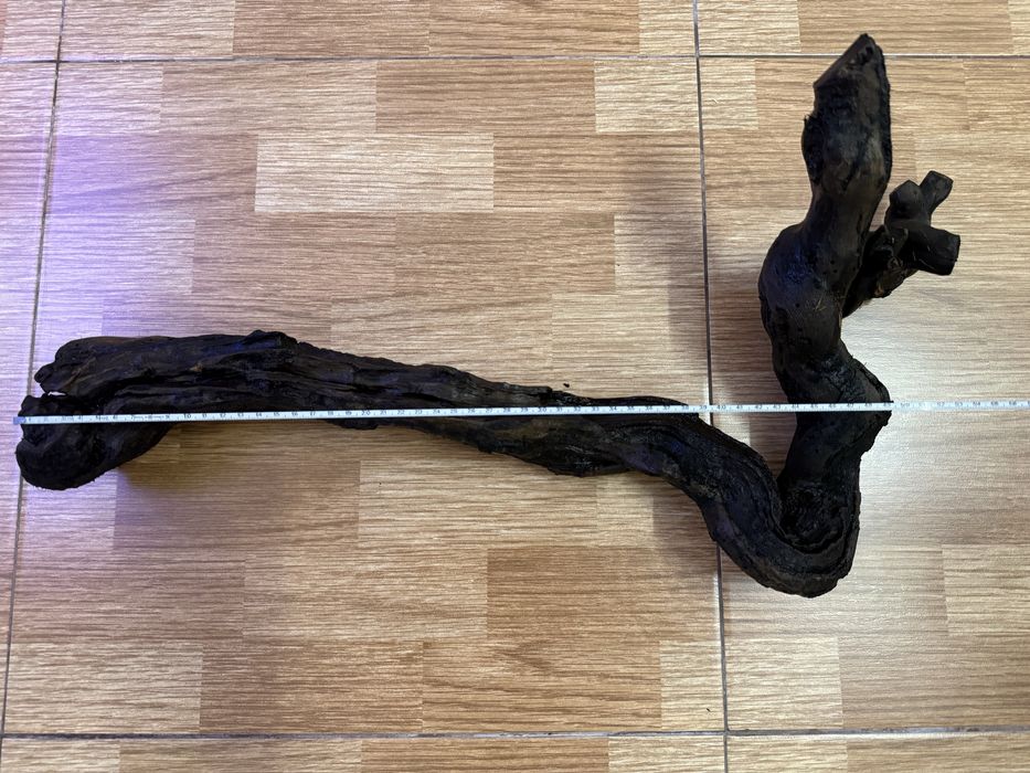 Tronco para aquário