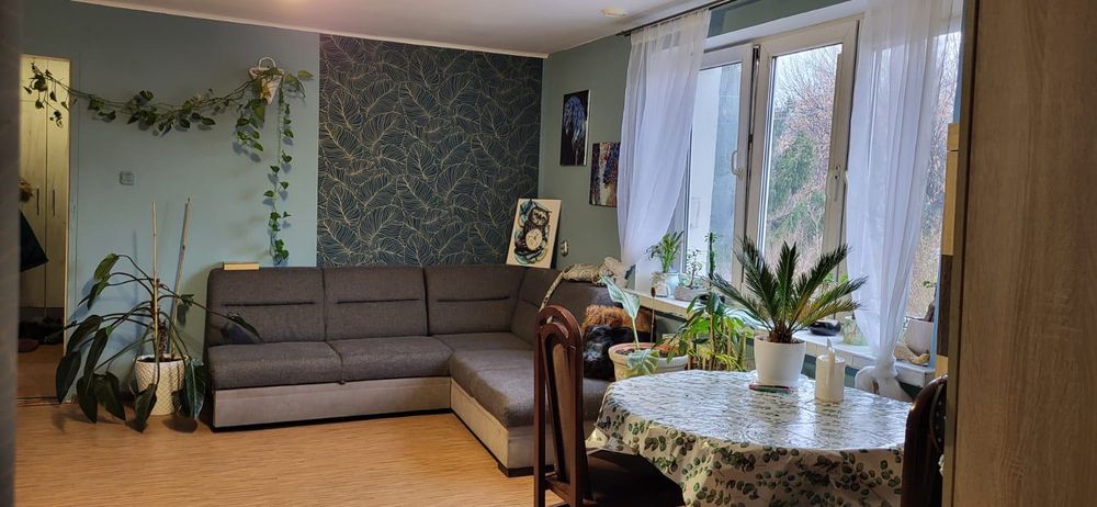 Wynajmę mieszkanie 2 pokojowe, bezczynszowe! Kuchnia, łazienka z WC. I piętro, parking gratis! – pohled 2