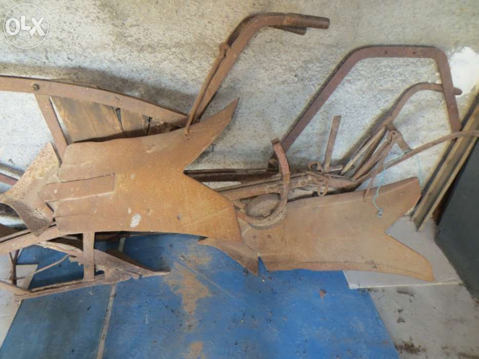 Charruas antigas de bois