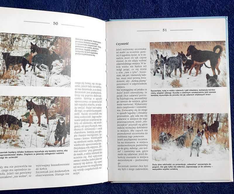 SZCZENIAK przybywa do DOMU - Brigitte Harries