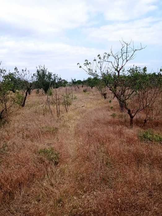 Продаю дом в Троицком Одесский район