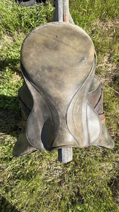 Cela para Cavalo Equitação