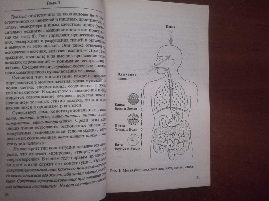 Лад Васант. Аюрведа,. Древнейшая наука самоисцеления и долголголетия