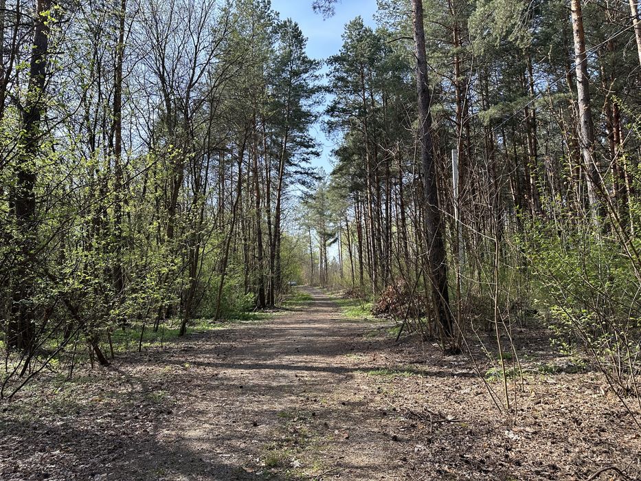 Ділянка 1 гектар в елітному районі Дмитрівки, ліс, асфальт, електрика